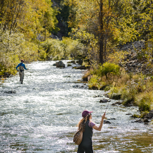 Fly-fishing in Autumn