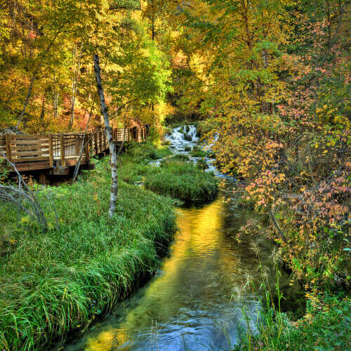 Spearfish Creek surrounded by shades of yellow foliage