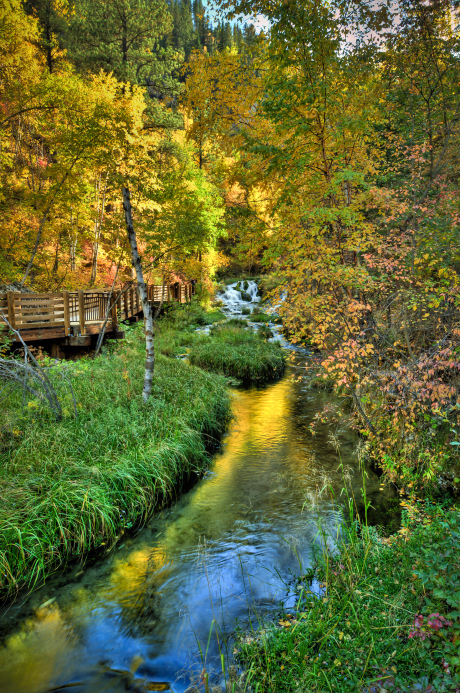 Spearfish Creek surrounded by shades of yellow foliage