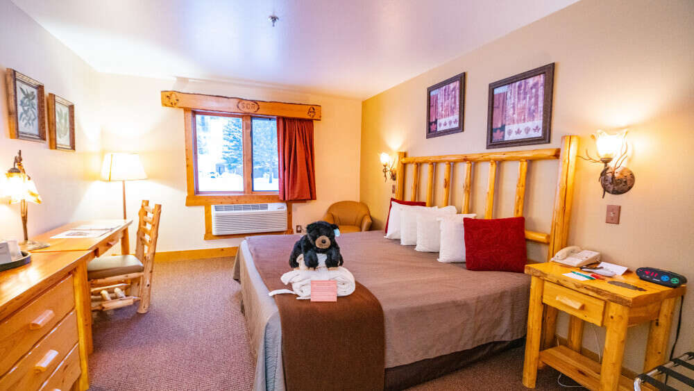 ADA Compliant Premier Room - 1 King Bed