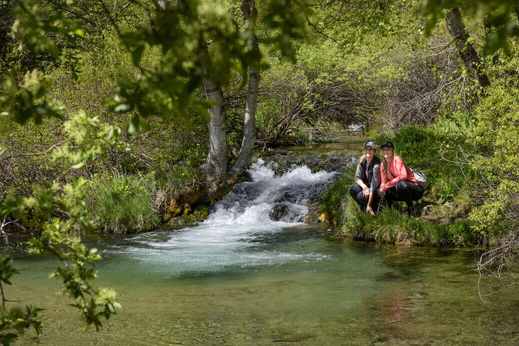 Scene of Roughlock Falls in Summer