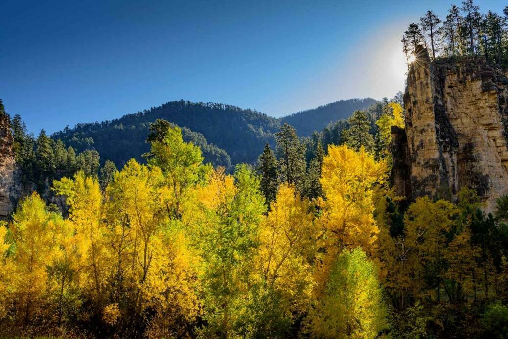 Spearfish Canyon Cliff with Yellow Birch and Aspen Tree below