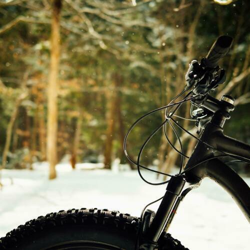 Fat bikes in Spearfish Canyon