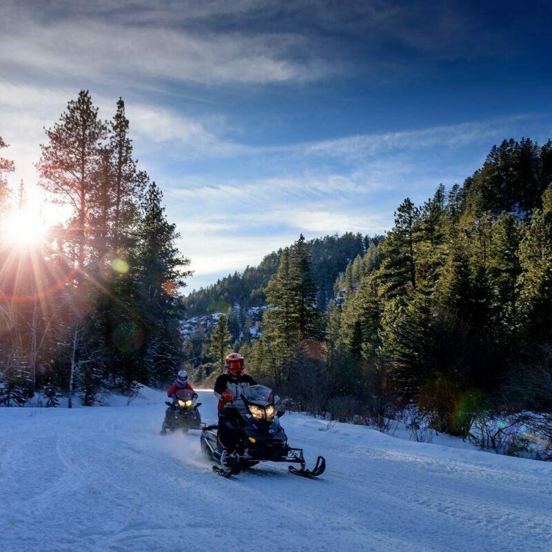 Snowmobiling on Black Hills Trails through Ponderosa Pines and Canyons